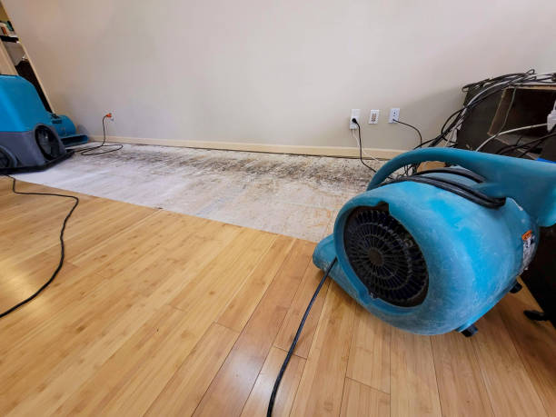 Professional Water Damage Repair technician working in Portage, IN
